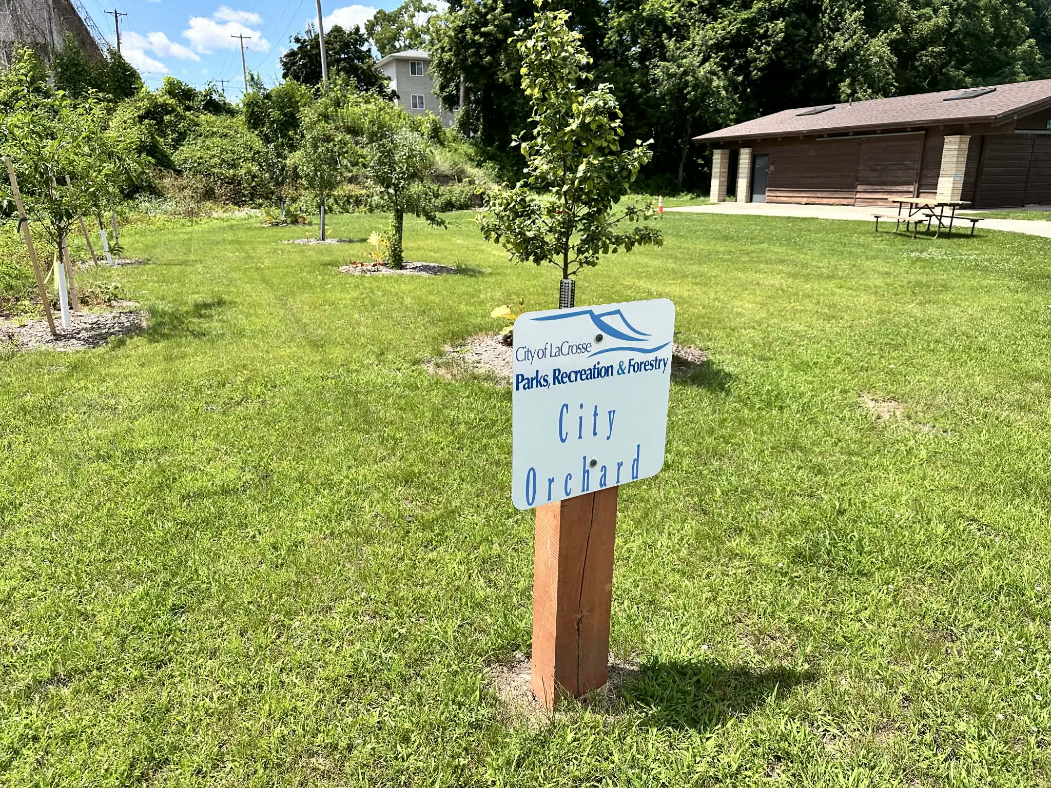 sign reading community orchard in front of a series of apple trees