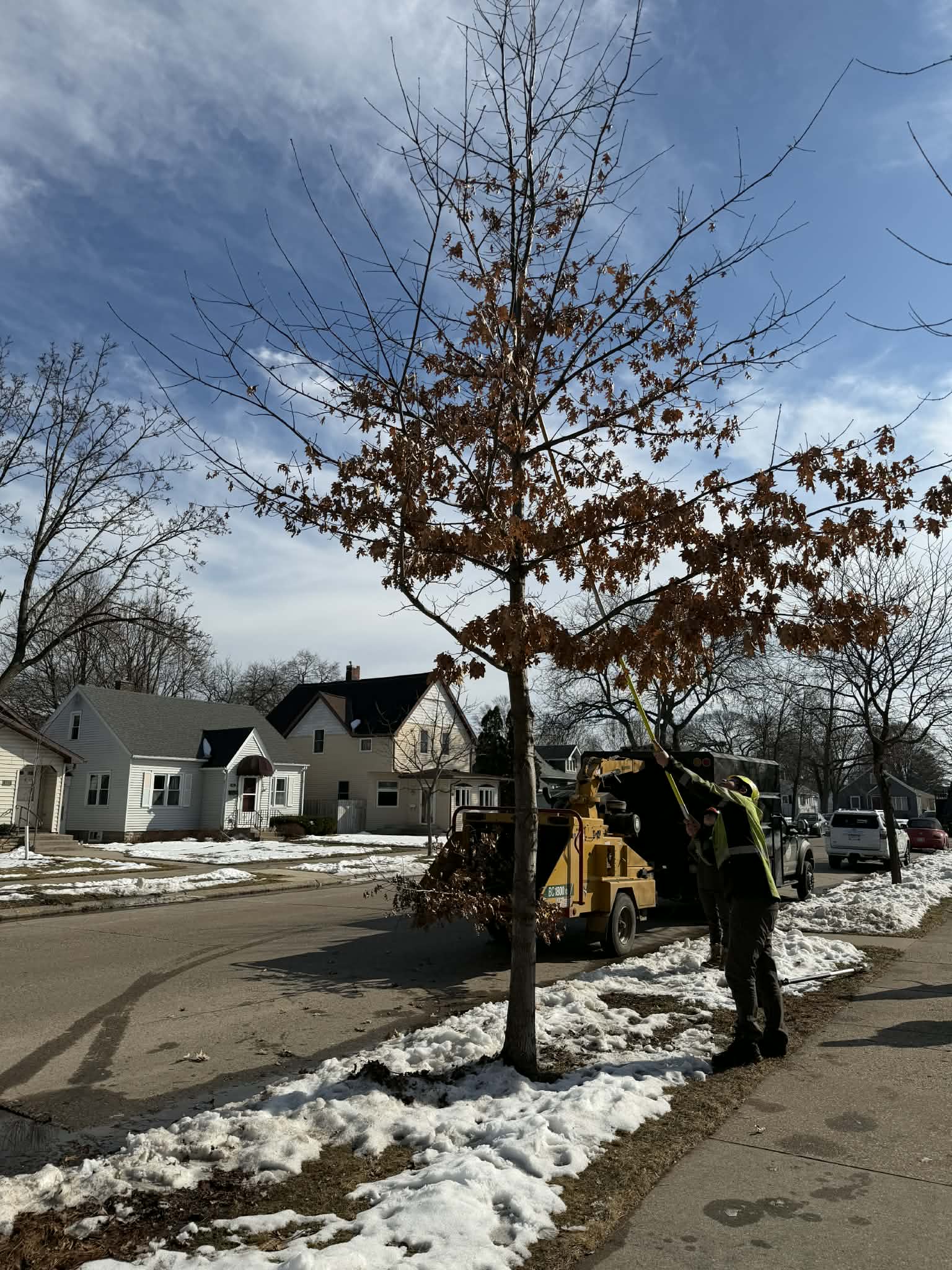 A person in a safety vest operates a wood chipper next to a tree with brown leaves, with houses and snow visible in the background under a cloudy sky.