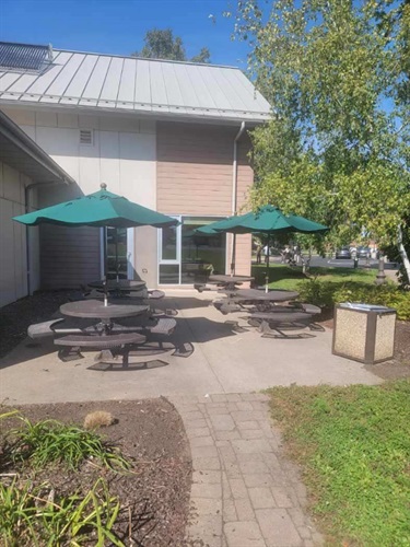 An outdoor seating area with picnic tables and green umbrellas next to a building.