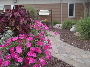 A paved walkway curves through a memorial garden with vibrant pink petunias and dark red coleus in the foreground.