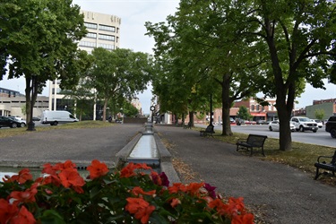 A tree-lined walkway with benches runs alongside a street in front of buildings, with red flowers in the foreground and a long, shallow fountain to the left.