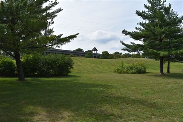A grassy hill with trees in the foreground and a highway overpass in the background under a cloudy sky.