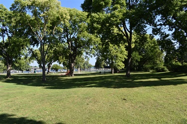 A grassy park area with large trees casting shadows on the ground under a clear blue sky.