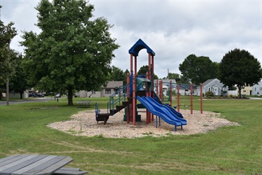 A blue and red playground structure with two slides stands on a wood chip ground in a grassy park. The playground is surrounded by green grass, trees, and houses under a cloudy sky.