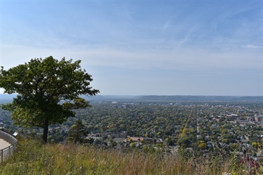 A wide view of a city spread out below a grassy bluff, with a lone tree in the foreground and a hazy horizon under a blue sky with wispy clouds.
