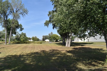 A mowed grassy field with mature trees on the right and left sides under a clear blue sky.