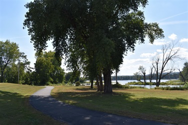 A paved walking path curves through a grassy park with large trees on the left and a lake with scattered trees on the right under a bright blue sky.