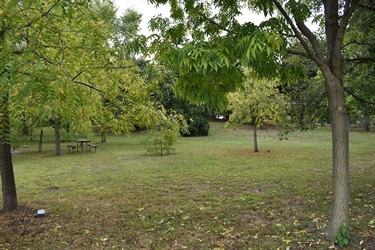 A park setting with trees, grass, and a picnic table in the distance.