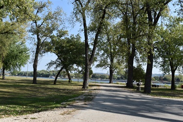 A paved road winds through a park with mature trees on a sunny day. A body of water is visible beyond the trees.