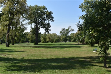 A wide view of a park with green grass and trees under a clear blue sky. A bench is visible in the distance.