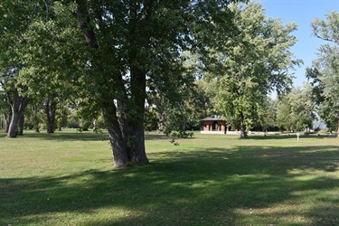 A grassy park with mature trees and a small, red-roofed building in the distance under a clear blue sky.