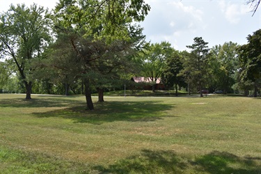 A grassy park with scattered trees and a building in the background.