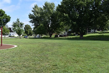 A wide grassy park area with large trees and a playground structure in the foreground.