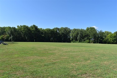 A wide, grassy field stretches towards a dense line of green trees under a clear blue sky.