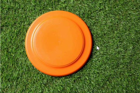 orange frisbee on green grass 