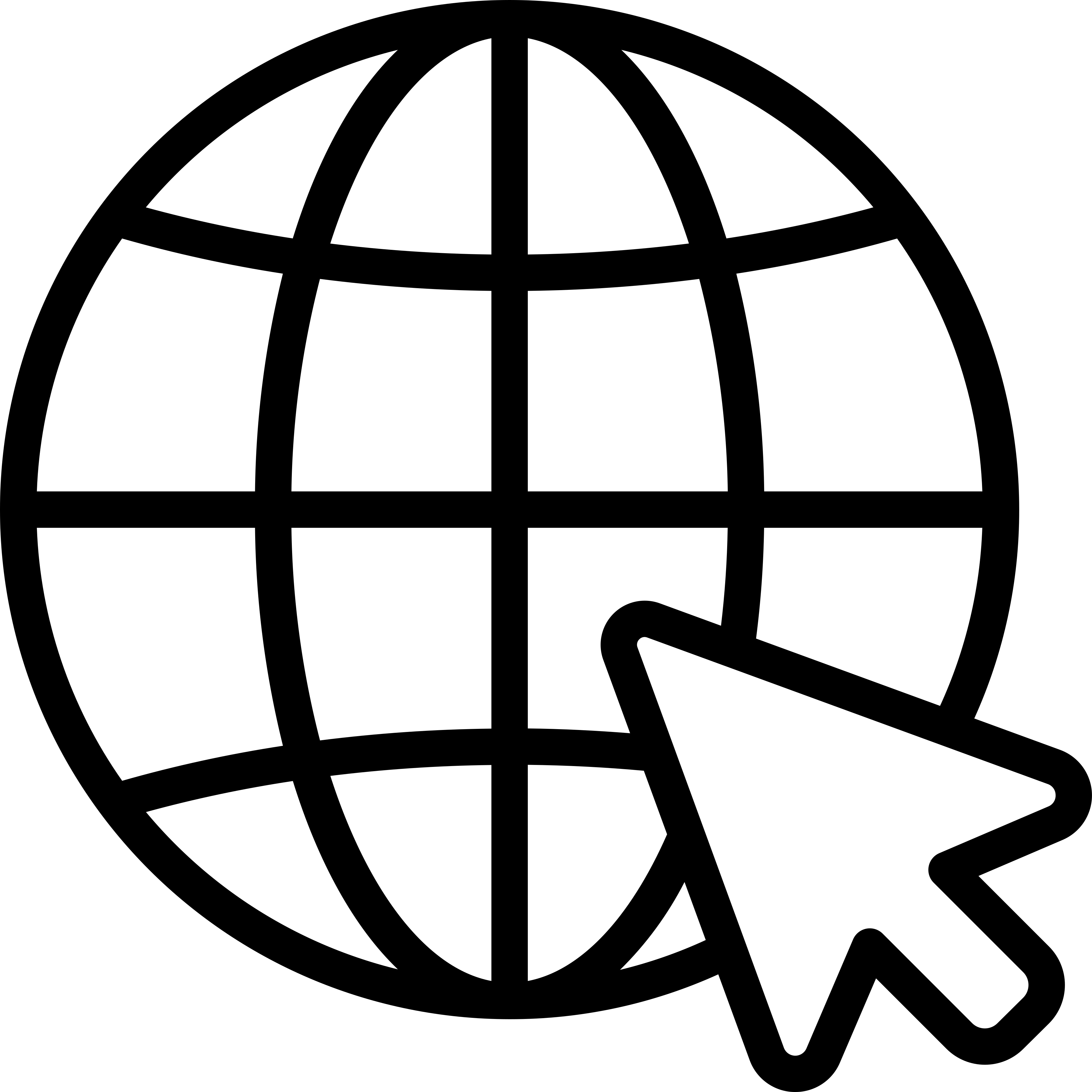 Black and white website globe icon